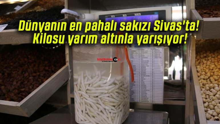 Kenger Sakızının Kilosu Altınla Yarışıyor!
