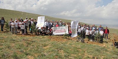 100. Yıl da 1919 Fidan