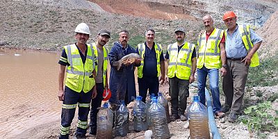 2 bin balık bataklıktan kurtarıldı