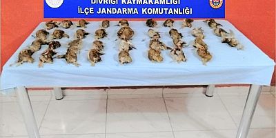 35 Adet Bıldırcın’a 23.757 TL. Ceza