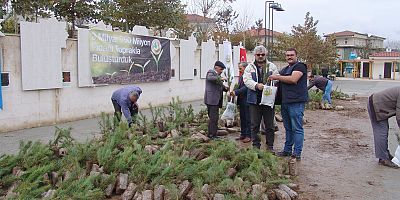 6 bin çam fidanı dağıtıldı.