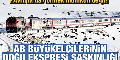 AB büyükelçilerinin Doğu Ekspresi şaşkınlığı!