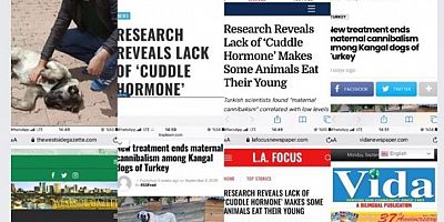 Başarıları ülke sınırlarını aştı