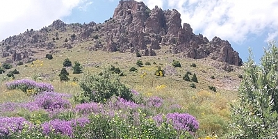 ÇAKMAKDÜZÜ GÖLLER YAYLASI