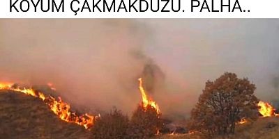 Çakmakdüzü’nde Yangın  Binlerce dekar arazi yandı