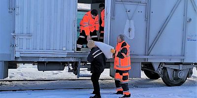 Doğaya Yem Bırakıldı