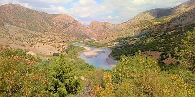 Elektrikle Balık Katliamı!