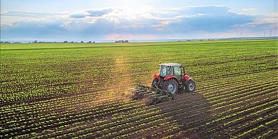 Hazine Arazileri Tarıma Açılacak