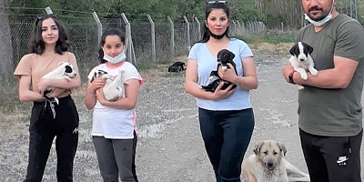 Hem besleme hem bakım