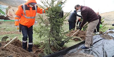 İki Fidan Birlikte Büyüyecek