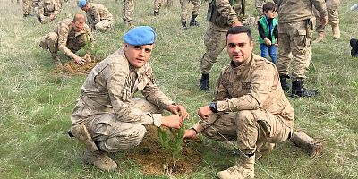 Jandarmadan fidan dikimi