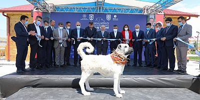 Kangal Köpeği Üretim ve Eğitim Merkezi Açıldı