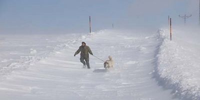 Kangal köpekleri soğuk havayı seviyor