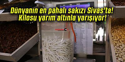 Kenger Sakızının Kilosu Altınla Yarışıyor!