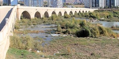 Kızılırmak otlağa dönüştü, manzara herkesi ürküttü