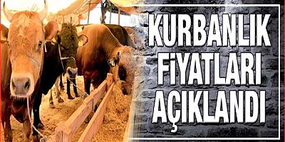 Kurban Bayramı Öncesinde Fiyatlar Belli Oldu