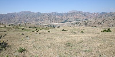 MADENLİ'YE 100 BİN FİDAN DİKECEK