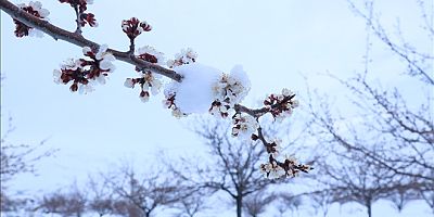 Nisan ayında sıcaklık sıfırın altında!