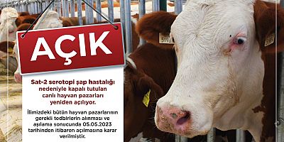 Şarkışla Hayvan Pazarı Açıldı