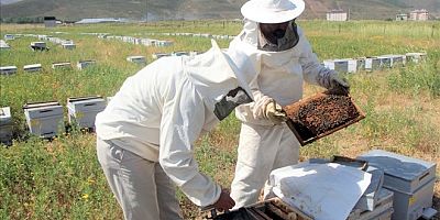 Sivas En Ballı 4´üncü Şehir