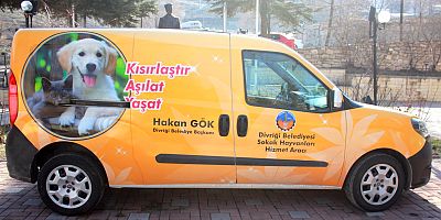 Sokak Hayvanlarına Araç Tahsisi