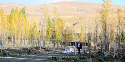 Sokak hayvanlarına mama desteği