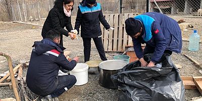 “Sokak köpeklerine destek çıkalım”