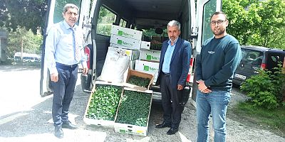 Tarım Müdürlüğü Fide Dağıtımı Yaptı