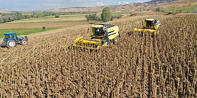 Vali Ayhan, “Sivas, Ayçiçek Üretiminde Söz Sahibi Olacak”