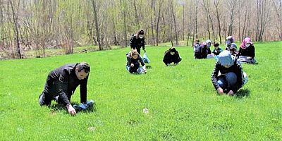 YEMEĞİ, TATLISI BİR DE KOLONYASI VE KREMİ VAR ; MADIMAK